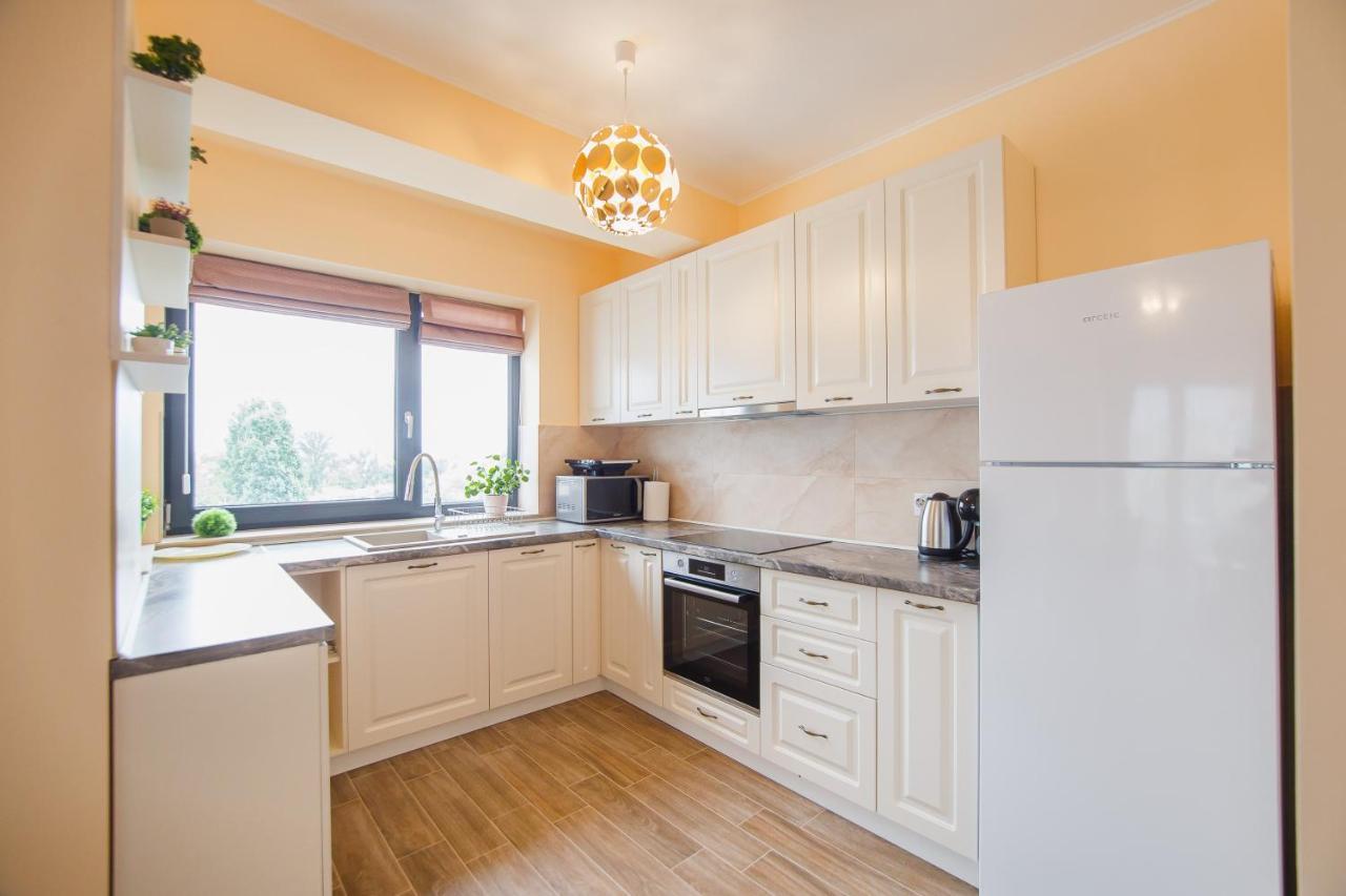 Grand Panorama Views Apartment Oradea